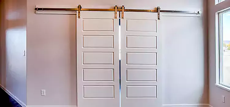 Glass Barn Door with Installation Hardware Kit Leominster